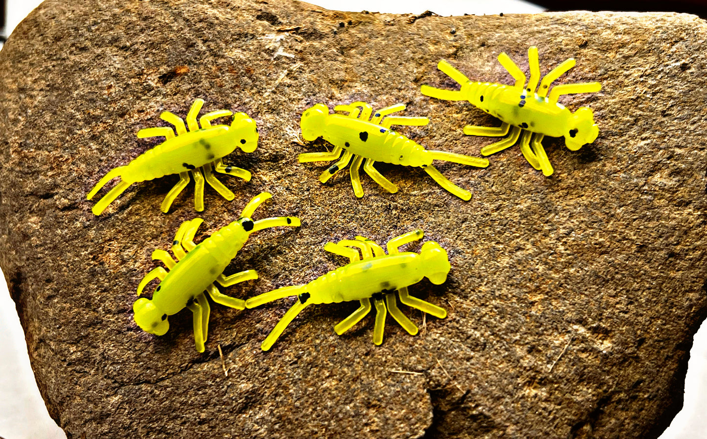 Stone Critters 1 3/8” Bugs