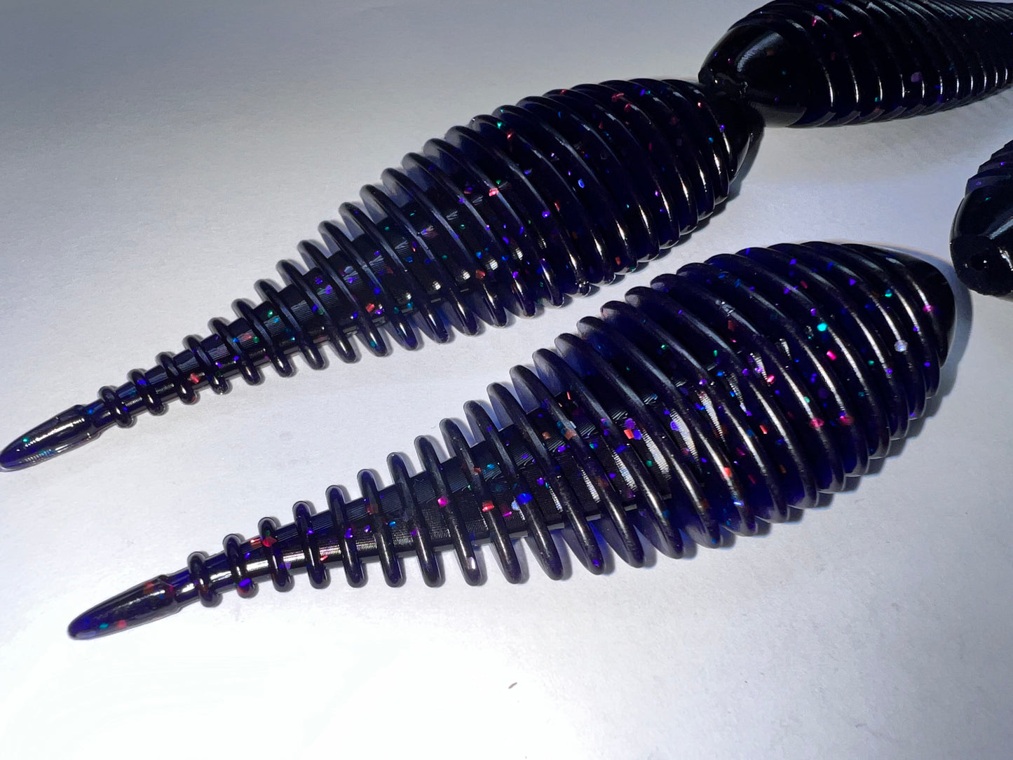 Frilled Leech