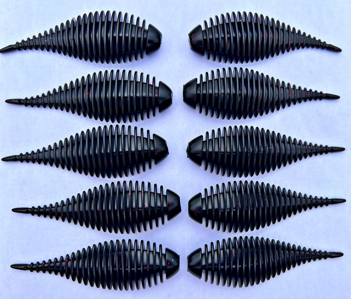 Frilled Leech