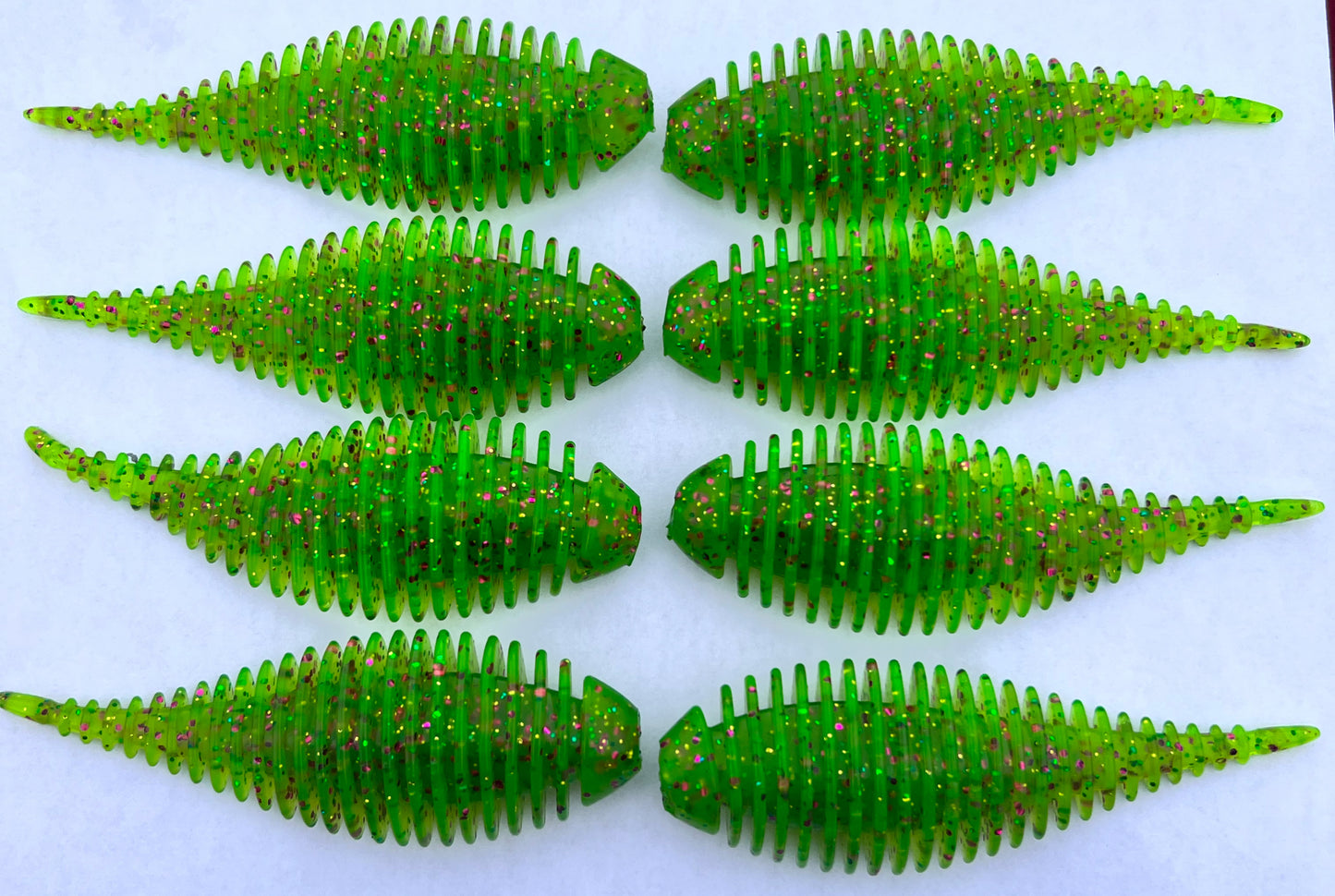Frilled Leech