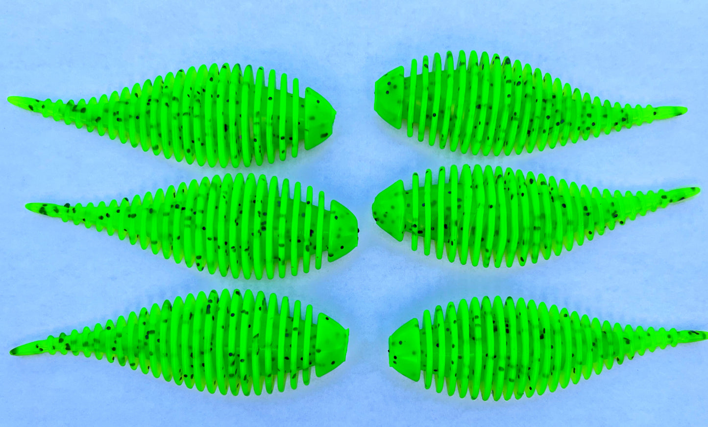 Frilled Leech